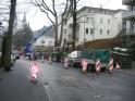 Baumfaellung002