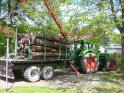 Brennholz001