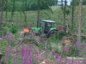 Holzruecken001