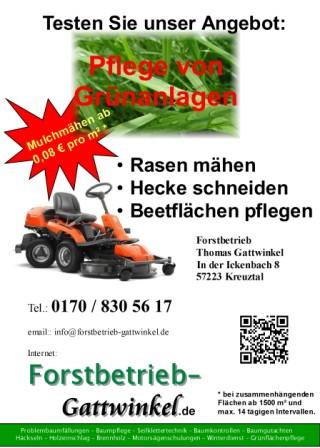 Flyer Grünflächenpflege