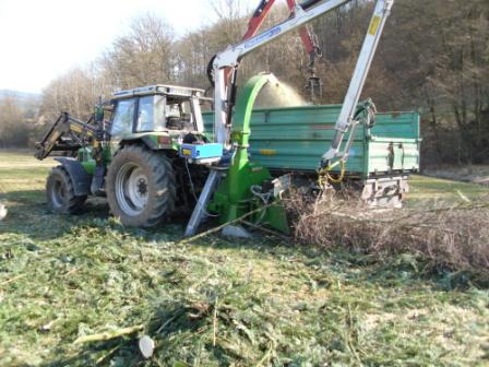 Einsatz des Häckslers bei Baumfällungen.