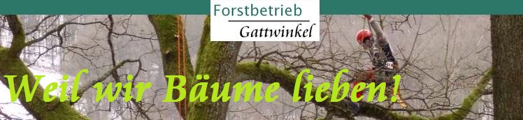 Forstbetrieb Gattwinkel