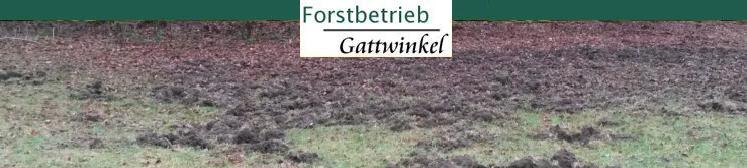 Wildschaden