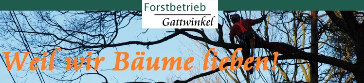 Forstbetrieb Gattwinkel